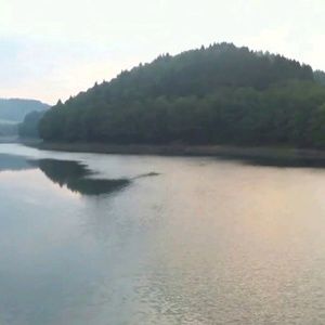 Meet your Posher, Anne